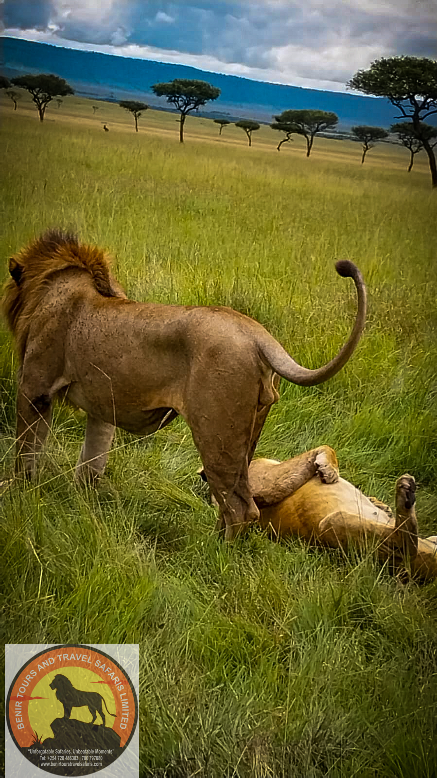 Serengeti